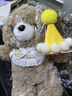 赟婭毛絨玩偶花束泰迪熊兒童抱抱睡小熊公仔娃娃小女孩閨蜜生日禮物袋 圍巾小熊+生日帽+花束+禮袋 曬單實(shí)拍圖