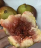 優(yōu)味集【順豐JD】花牛蘋果新鮮紅蛇脆粉沙糯果甘肅天水寶寶輔食孕婦水果 2.8斤凈重裝（商超精選） 商超級金果150g+ 曬單實拍圖
