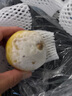 裕農(nóng)叔【順豐JD速發(fā)】新奇士檸檬進(jìn)口水果皮薄清香多汁香水黃檸檬整箱 1000g凈重裝（顆顆嚴(yán)選） 商超A+級(jí)單果120-150g 曬單實(shí)拍圖