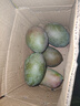 壹萌果蔬四川攀枝花凱特芒果新鮮水果當(dāng)季特大香甜青芒果當(dāng)季整箱包郵  凈4.5斤-5斤精選果【單果300g+】 曬單實拍圖