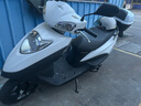 新大洲本田NS125D踏板燃油摩托車上班省油【門店提車】 特黑【含尾箱護杠】 曬單實拍圖
