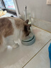 哆菲貓貓糧DoFeeCat全價無谷雞肉凍干主糧幼貓成貓糧0谷物保護尿道低敏 推薦【18% 雞肉凍干】1.6kg*2袋 曬單實拍圖