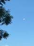 鴻星爾克（ERKE）運(yùn)動鞋男鞋休閑夏季網(wǎng)面透氣輕便軟底耐磨通勤久站戶外跑步鞋男士 曬單實(shí)拍圖