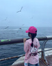 FIDQIOG國際品牌女童短袖T恤2025夏季新款蝴蝶結(jié)小貓印花可愛女孩洋派上衣 粉色上衣+內(nèi)搭褲 M 130cm 曬單實拍圖