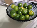 滿柚春無(wú)籽青檸檬塔西提薄皮多汁香水檸檬小青檸奶茶店專(zhuān)用 無(wú)籽小青檸1斤裝 曬單實(shí)拍圖