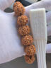 檀核為樂(lè )金剛菩提手串原生態(tài)六瓣大金剛尼泊爾菩提子原籽雙龍紋生日禮物 六瓣滿(mǎn)肉大金剛18-19mm 曬單實(shí)拍圖