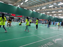 李寧（LI-NING）羽毛球拍雷霆小鋼炮黑色全碳素專業(yè)進攻型單拍4U已拉線AYPT307-4 曬單實拍圖