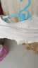 好孩子（gb）兒童內(nèi)褲女 母嬰A類女孩純棉內(nèi)褲 5A抗菌平角內(nèi)褲女-3條裝粉紅 曬單實(shí)拍圖
