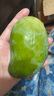 壹萌果蔬金煌芒芒果 當(dāng)季現(xiàn)摘廣西大芒果新鮮水果青皮芒果整箱送禮 5斤精品果【單果150g+】 凈4.5斤 曬單實(shí)拍圖