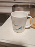 玉泉骨瓷茶杯茶水分離陶瓷馬克杯帶蓋濾茶杯送禮女生鵲登高枝小清新 梨花白馬克杯 曬單實(shí)拍圖