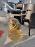 金灶（KAMJOVE） 玻璃茶壺 茶水分離飄逸杯泡茶壺 過濾花茶壺茶道杯茶具泡茶器 K-201/500ml 曬單實(shí)拍圖