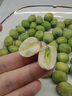 南步湖南新鮮蓮蓬【順豐到家】湘潭現(xiàn)摘生吃蓮子米蓮蓬手剝湘蓮水果 4斤 鮮蓮蓬【24-32個】 曬單實拍圖
