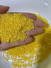 蓋亞農(nóng)場(chǎng)有機(jī)黃小米450g 小米粥 粗糧 五谷雜糧早餐粥大米伴侶 有機(jī)黃小米450g 曬單實(shí)拍圖