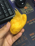 壹萌果蔬四川攀枝花凱特芒果新鮮水果當季特大香甜青芒果當季整箱包郵 凈8.5斤-9斤精選果【單果400g+】 曬單實(shí)拍圖
