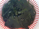裙帶菜 鮮海帶非干貨海帶嫩苗兒童海菜海白菜海藻菜涼拌 裙帶菜嫩葉250g 曬單實拍圖