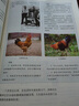 【可單選】新華書店人教版高中生物學全套課本教材高中生物必修12一二+選擇性必修123一二三高一二三上下學期生物課本人教版高中生物全套書 高中生物選擇性必修-1【人教版】 曬單實拍圖