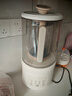 藍(lán)寶（BLAUPUNKT）破壁機(jī)家用豆?jié){機(jī)全自動(dòng)免煮2025新款靜低音破壁機(jī)小型榨汁機(jī)嬰兒米糊機(jī)磨粉機(jī)智頻變速 國家補(bǔ)貼 曬單實(shí)拍圖