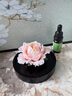 Para Ella永生花陶瓷牡丹生日禮物女生伴手禮實用七夕情人節(jié)醫(yī)師母親教師節(jié) 曬單實拍圖