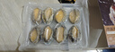 靈略 鮮凍大鮑魚(yú) 凈重800g 16粒盒裝 鮑魚(yú)火鍋燒烤  貝類海鮮 生鮮 曬單實(shí)拍圖
