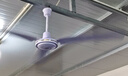 鉆石牌吊扇電風(fēng)扇家用客廳1.4米56吋樓頂扇工業(yè)大風(fēng)力吸頂電風(fēng)扇DS56-11I 曬單實(shí)拍圖