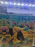 魚缸背景貼紙5d高清畫立體畫海底世界3d水族箱造景裝飾壁紙自粘紙 03.彩色珊瑚和魚 寬80cm-高50cm【送刮板】 曬單實拍圖