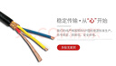 APESD屏蔽線音頻線通訊信號(hào)線RVVP兩芯4芯0.5/1.0/1.5平方護(hù)套線國(guó)標(biāo)純銅雙屏蔽信號(hào)控制線話筒線音響線 雙屏蔽音頻線2*0.5 100米 曬單實(shí)拍圖