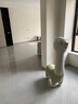BETTIE CATTIE 貝迪貓羊駝坐騎帶萬(wàn)向滑輪子大號玩偶坐凳子座椅毛絨玩具公仔坐騎擺件 綠色-升級框架滑輪款 125cm 高 曬單實(shí)拍圖