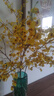 Harbor House美式家居假花跳舞蘭仿真花束假花客廳家居裝飾花藝擺件Dancing 黃色 曬單實(shí)拍圖