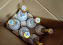汾酒 黃蓋玻汾 清香型白酒 53度 475mL*6瓶 整箱裝非原箱 曬單實(shí)拍圖