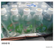 依能 青檸檬味蘇打水飲料 無(wú)糖無(wú)汽弱堿 500ml*24瓶 塑膜裝飲品 曬單實(shí)拍圖