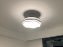 隱形風扇燈餐廳吊燈2025新款高級感電扇燈中山燈具客廳臥室吊扇燈 吸頂-42寸96瓦普瑞光-三色-遙控 曬單實拍圖
