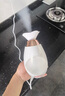 圣芙尼熱噴蒸臉器納米噴霧補水儀家用小型打開(kāi)毛孔蒸汽機清潔護膚保濕臉部加濕器大噴霧熱敷暖熏臉美容儀 904熱噴（大噴霧+噴嘴可調角度） 曬單實(shí)拍圖
