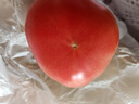 諸氏橙品【有機】西紅柿 虎眼番茄 沙瓣鐵皮西紅柿子新鮮時令孕婦水果整箱 【有機虎眼番茄】 1kg 嘗鮮 曬單實拍圖