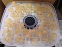 京嚴(yán)烘干機(jī)食品果蔬干果機(jī)小型家用食物水果烤干器寵物零食肉干風(fēng)干箱 【高效烘干｜超長(zhǎng)定時(shí)】白色 5層加大容量｜可定時(shí)免看管 曬單實(shí)拍圖