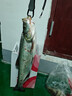 夢(mèng)輝炮彈之子狗水面系釣翹嘴軍魚(yú)水面之子狗路亞餌 熒黃 11克 曬單實(shí)拍圖