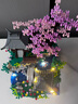 啟致創(chuàng)想桃花潭積木古風(fēng)建筑拼裝擺件益智玩具7-14歲兒童女孩男孩生日禮物 曬單實(shí)拍圖