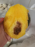 【新鮮上市】正宗攀枝花凱特芒果新鮮水果 帶箱2斤200g+ 曬單實(shí)拍圖