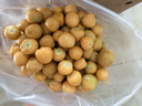 辰實【發(fā)順豐】東北菇娘果 新鮮水果燈籠果 黃姑娘果洋菇娘果 菇?jīng)龉?3斤 曬單實拍圖