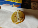 小博生鮮四川安岳黃檸檬  新鮮水果 皮薄多汁 青檸 檸檬果檸檬水鮮檸檬 6粒 單果60-80g 曬單實(shí)拍圖