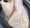 湘當(dāng)鮮三黃雞2.4斤 冷凍 農(nóng)家散養(yǎng)土雞 紅燒燉湯食材  曬單實(shí)拍圖