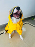 SLPC狗狗雨衣大型犬四腳全包金毛雨衣帶帽子尾罩防水中型寵物雨衣 蛋黃色 8XL（適合約35到55斤） 曬單實拍圖