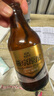 燕京啤酒小黑金 原釀12°P白啤酒 300ml*12瓶   蘇超 啤酒整箱批發(fā) 300mL 12瓶 曬單實(shí)拍圖