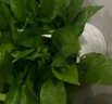 雙盟綠蘿盆栽除甲醛花卉綠植辦公室新房?jī)艋諝?10豎紋盆8盆源頭直發(fā) 曬單實(shí)拍圖