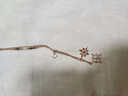 施華洛世奇（SWAROVSKI）Symbolica星星雪花項鏈女吊墜輕奢送女友畢業(yè)禮物女 鍍玫瑰金色  5494352 曬單實拍圖
