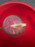 AIPHAROW純種黑色龍鳳錦鯉長尾錦鯉活體觀賞魚黃金錦鯉白金魚淡水蝴蝶鯉魚 黃金錦鯉8-10厘米5條 曬單實(shí)拍圖