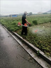 日本進(jìn)口小松G45L汽油割草機(jī)二沖程大功率割灌機(jī)側(cè)掛式綠化打草機(jī) 進(jìn)口小松G45L（側(cè)掛式）打草機(jī) 曬單實(shí)拍圖