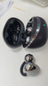 山水（SANSUI）W105【國(guó)家補(bǔ)貼丨科大訊飛翻譯支持】藍(lán)牙耳機(jī)骨傳導(dǎo)概念耳夾式 無線跑步運(yùn)動(dòng)通話降噪榜前十 黑 曬單實(shí)拍圖