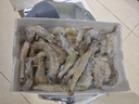 鯨口大開【青島蝦】超大蝦新鮮大蝦冷凍鮮活青島大蝦批發(fā)整箱基圍蝦青蝦 15-17厘米鮮蝦速凍 3斤(凈重) 曬單實拍圖
