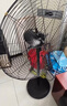 鉆石牌工業(yè)風(fēng)扇大風(fēng)力電風(fēng)扇牛角扇大功率工業(yè)大風(fēng)扇工廠車間商用立式落地扇吹除甲醛FS-75 曬單實拍圖