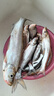 佳釣?zāi)嵝∶茁N魚竿超輕細(xì)硬魚竿28調(diào)魚竿漁具魚桿野釣臺釣專釣翹嘴釣魚桿 10m 伏魔小米翹 曬單實拍圖